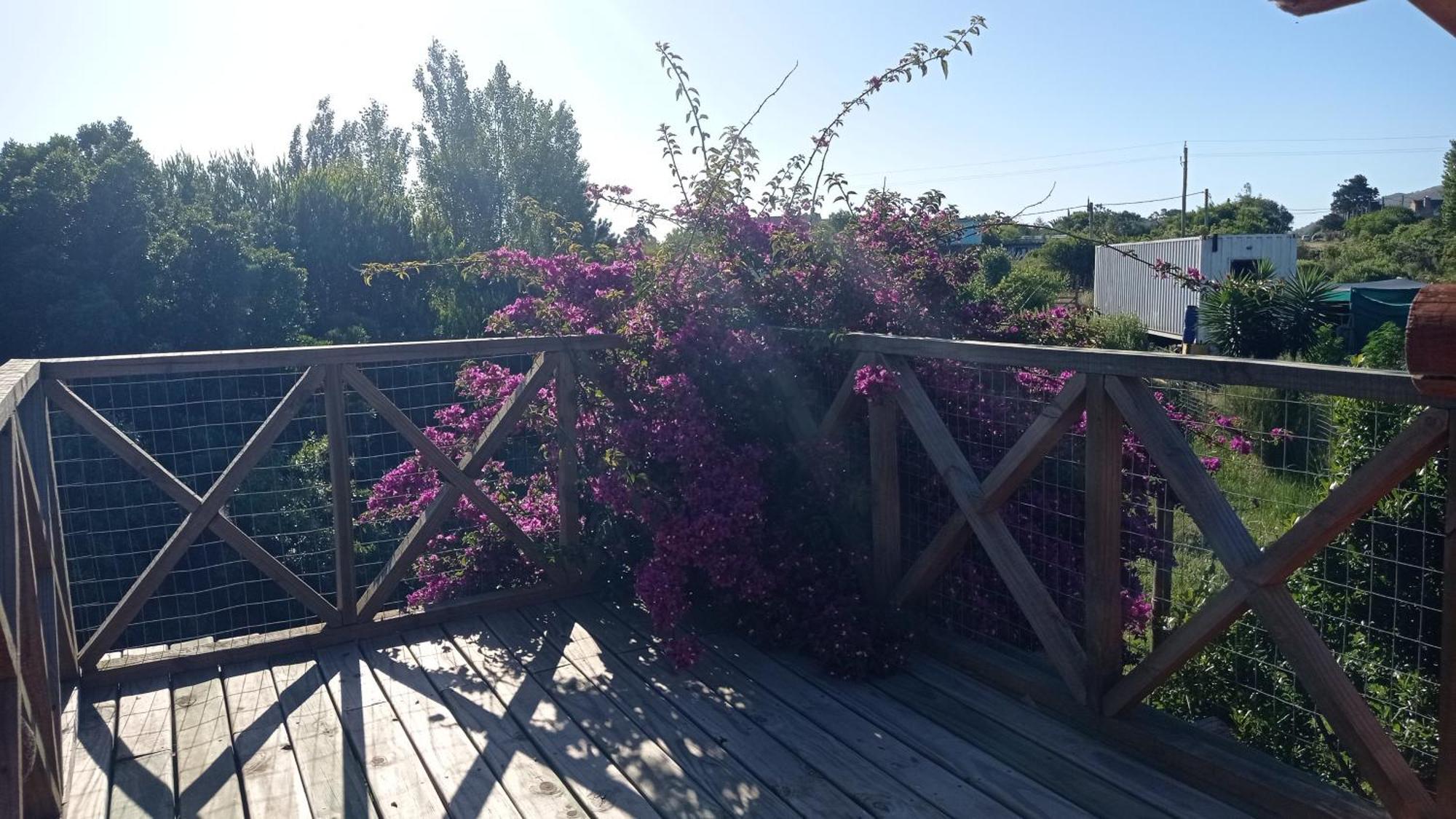 Casas Punta Negra Βίλα Piriápolis Εξωτερικό φωτογραφία