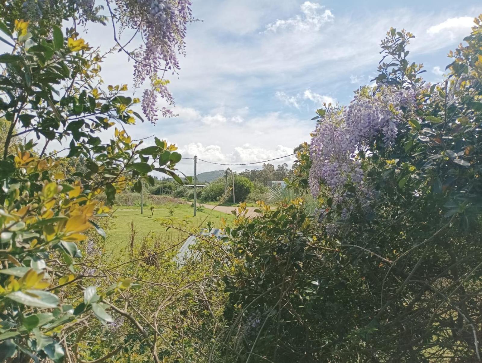 Casas Punta Negra Βίλα Piriápolis Εξωτερικό φωτογραφία