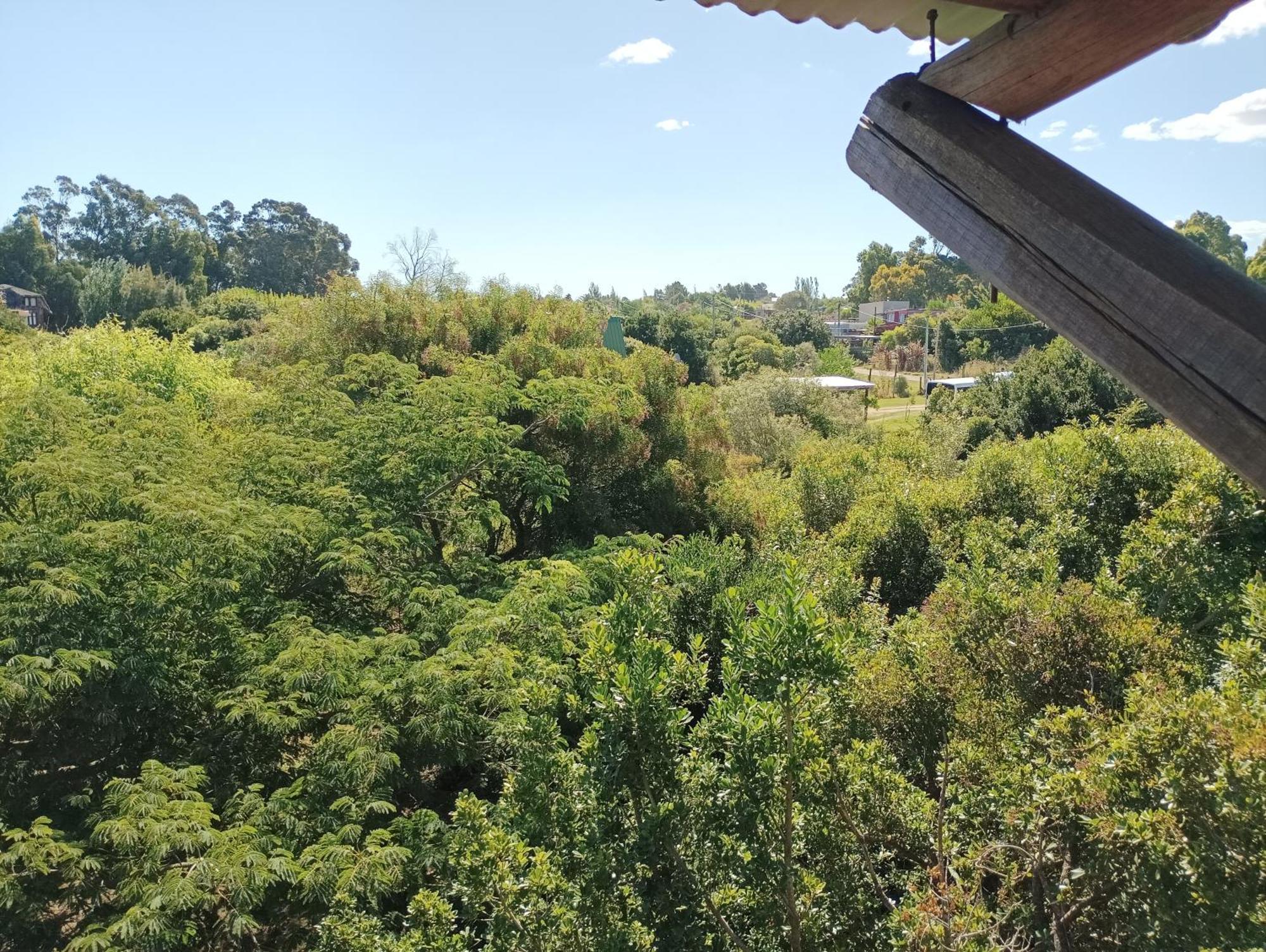 Casas Punta Negra Βίλα Piriápolis Εξωτερικό φωτογραφία